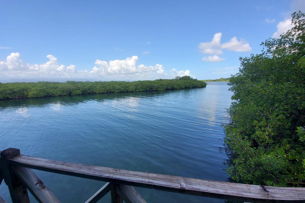 The Sunsetter Bed & Breakfast Bocas Town Bagian luar foto