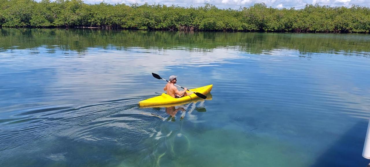 The Sunsetter Bed & Breakfast Bocas Town Bagian luar foto