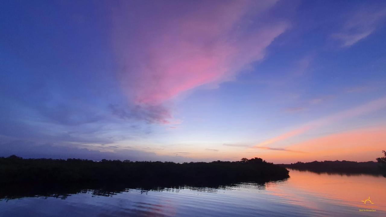 The Sunsetter Bed & Breakfast Bocas Town Bagian luar foto