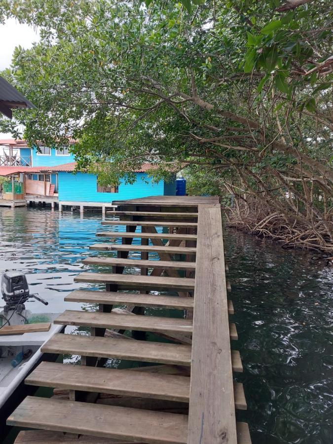 The Sunsetter Bed & Breakfast Bocas Town Bagian luar foto